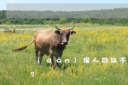 擔(dān)保人可以不還錢嗎？